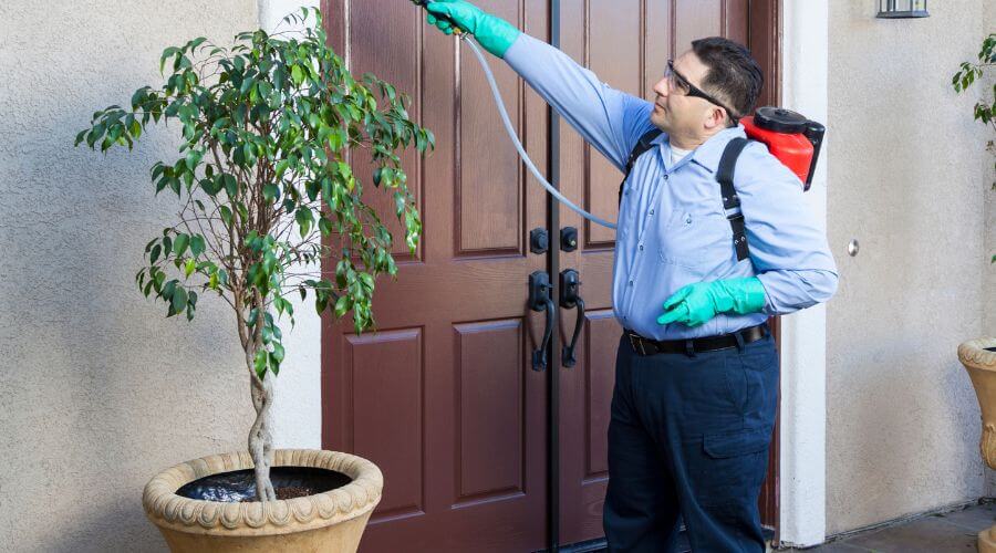Why choose Chemical Treatment Orono for chemical treatment in Orono